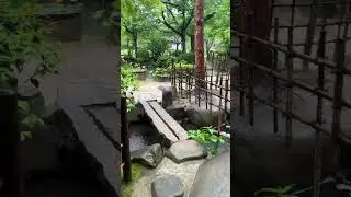 ASMR of rain sounds☔️🌳🌲#shorts #asmrrelaxing