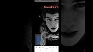 Dark Tone Effect | Black and White | Snapseed Tutorial
