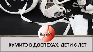 Каратэ в доспехах. Категория мальчики 6-7 лет