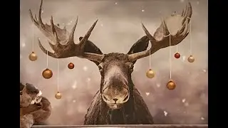 DAS AKA Moose AKA David A