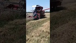 Жнива #agriculture #farming #farmer