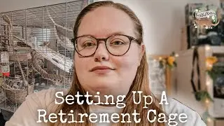 Setting up a retirement cage for my older rats🐀👴🏻