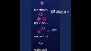 How deep is the Titanic shipwreck??