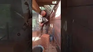 Їжак в тумані.🦔🌫️
