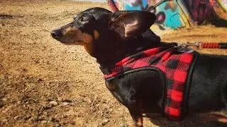 Our First Time in Texas