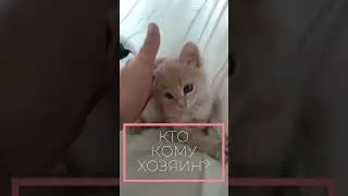 Кто кому хозяин?