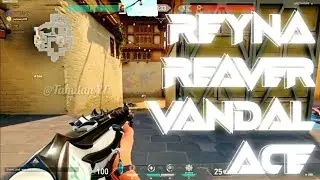 Valorant | Reyna Ace | Reaver Vandal = AimBot | 