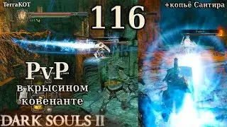 #116