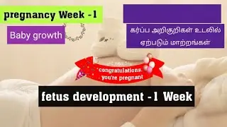 1Week fetus (baby) development during pregnancy in tamil|Week1 pregnancy symptoms|Pregnancy changes