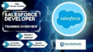 Salesforce Developer - Overview Video