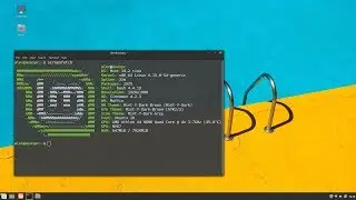 Linux Mint 19.2 Tina Cinnamon - что нового?