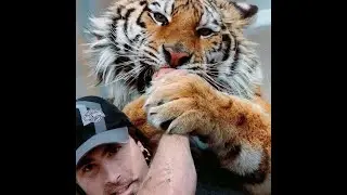 GEATEST TIGER ACTION  FILM - TWO BROTHERS