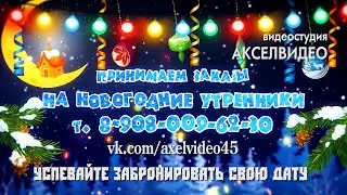 Видеооператор на новогодний утренник в детский сад Курган. Видеосъемка новогоднего утренника Курган.