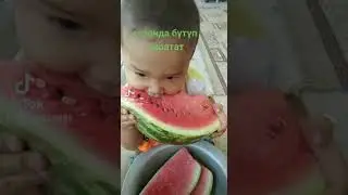 Арбуз
