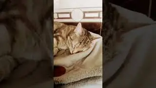 Новый клип