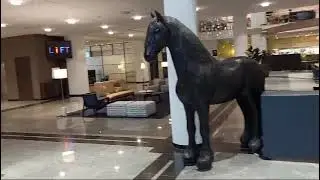 новый отель в леувардене, голландия, фрисландия