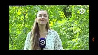 23 ноября 2024 г.