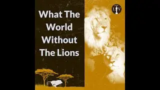 World Without Lions!😱 | Save the Lions #shorts