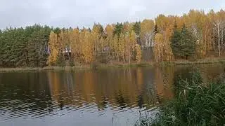 Чудо и красота природы. Город Почеп, озеро 