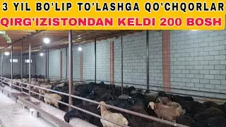 КУЙ ОЛЕДИГОН ПАЙИТ КЕЛДИ ШАРТНОМА АСОСИДА 3 ЙИЛГА ☎️939709000