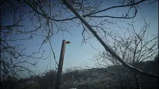video 004