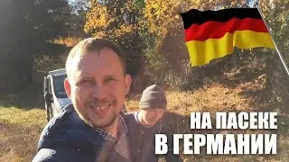 Пасека в Германии у друга