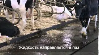 GEA Houle Новые модели скреперов