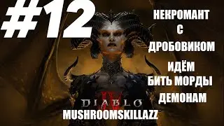 #12 -2 Некромант с ДРОБОВИКОМ DIABLO IV на PS5