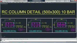 Col. Reinf. Detail - 500x300-10 BAR-1(Rebar Arrang.) in Engineering Drawing (AutoCad Hindi-Urdu)