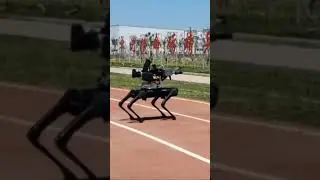 🤖😱Weaponized Robot Dogs?! A Little Scary, Right? 