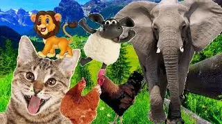 Animal sounds.Sounds of a cat, elephant, tiger, dog and others.