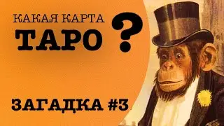 Загадка Таро #3 - загадка Дарвина / школа Таро пана Романа