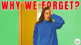 The Doorway Effect: Why Do We Forget What We Were Supposed To Do After We Enter a Room?