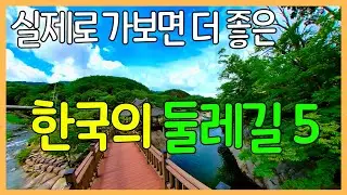 5 Dullegil Trails in Korea that are good for walking | Good travel destinations / Pleasant trekking