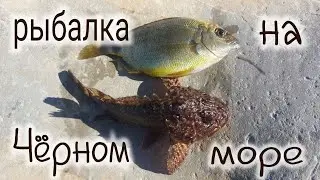 Рыбалка на Чёрном море с берега морской карась зеленушка скорпена морской окунь  Fishing in the Blac