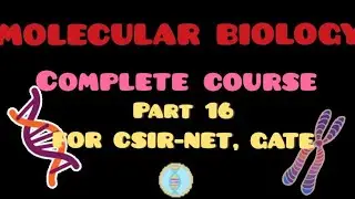 BASICS OF TRANSLATION | CSIR NET | GATE | IIT JAM | DBT | NEET | ICMR | MSC | B.SC