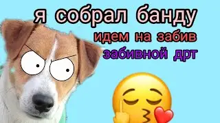 лео ушел на забив! 🤬(говорящая собака) дрт. джек рассел терьер