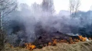 Горит лес в Сибири.