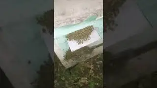 жара даже ночью