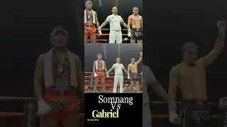 ព្រំសំណាង vs Lucas Gabriel 26/04/2024 #news #funny #funnyclip #animals #funnymovie #funnyvideo #cute