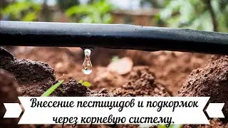 Полив. Как рассчитать дозировки пестицидов и подкормок?