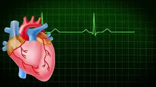 Heart beats || ECG ||#shorts