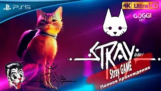 Полное прохождение Stray на русском➤ИГРОФИЛЬМ