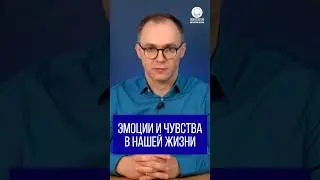 Почему важно различать эмоции и чувства?