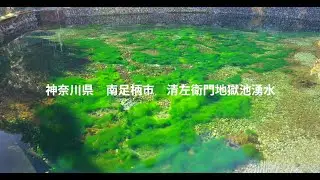 神奈川県　南足柄市　清左衛門地獄池　湧水