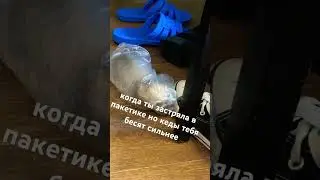 #хорек#фретка#хорьки#хищник#юмор#милота