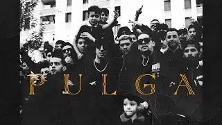 Nirmou - Pulga ft @mvss_officiel