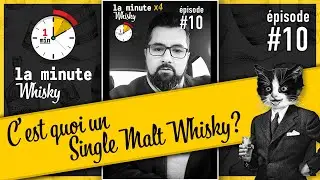 C'est quoi un whisky Single Malt ? La Minute Whisky ⏱️ 🥃 / Épisode #10