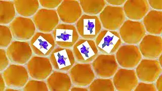 (Roblox) Gifting my Buoyant Bee in Bee Swarm Simulator