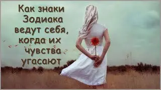 Как знаки Зодиака ведут себя, КОГДА ИХ ЧУВСТВА УГАСАЮТ